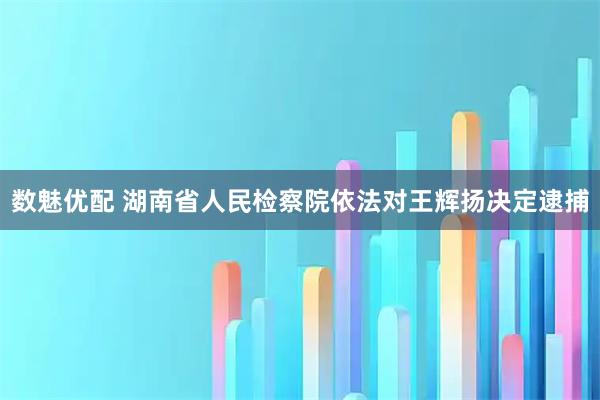 数魅优配 湖南省人民检察院依法对王辉扬决定逮捕