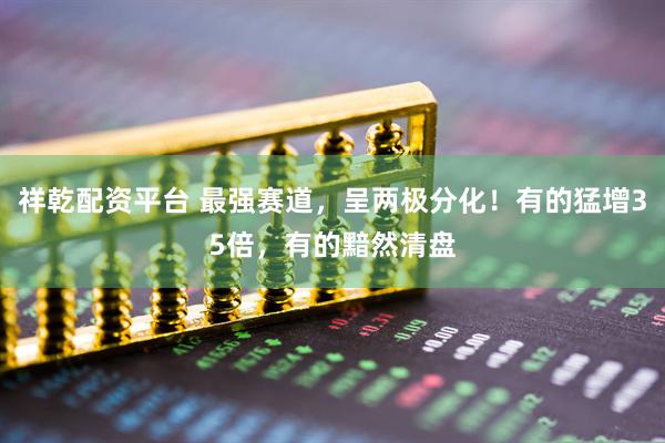 祥乾配资平台 最强赛道，呈两极分化！有的猛增35倍，有的黯然清盘