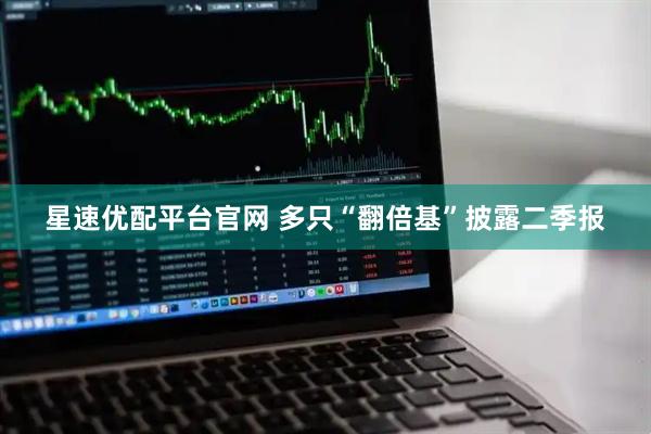 星速优配平台官网 多只“翻倍基”披露二季报