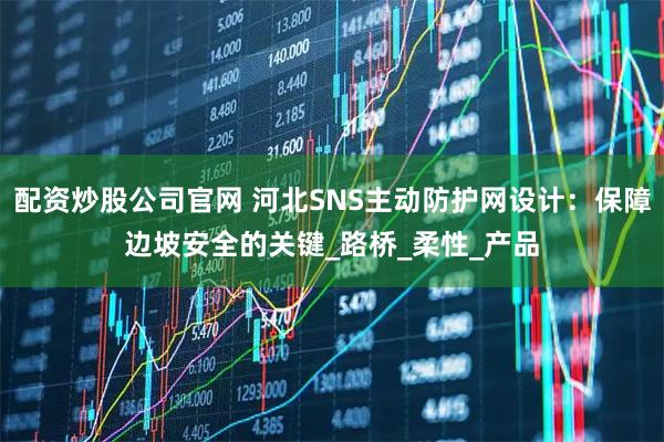 配资炒股公司官网 河北SNS主动防护网设计：保障边坡安全的关键_路桥_柔性_产品
