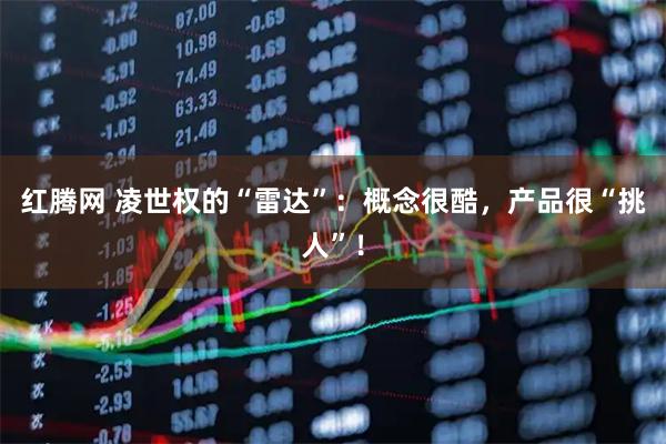 红腾网 凌世权的“雷达”：概念很酷，产品很“挑人”！